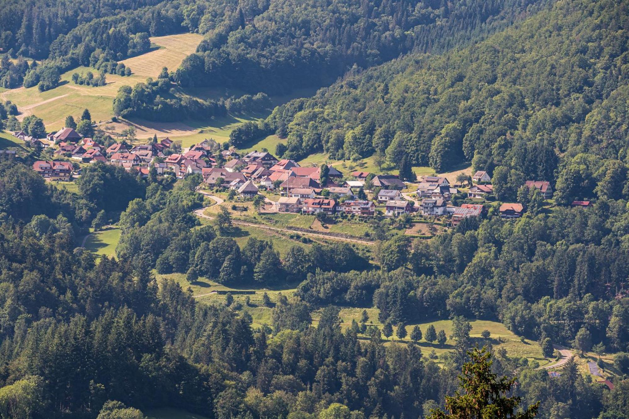 Ferienwohnung Belchenliebe Schonenberg Dış mekan fotoğraf