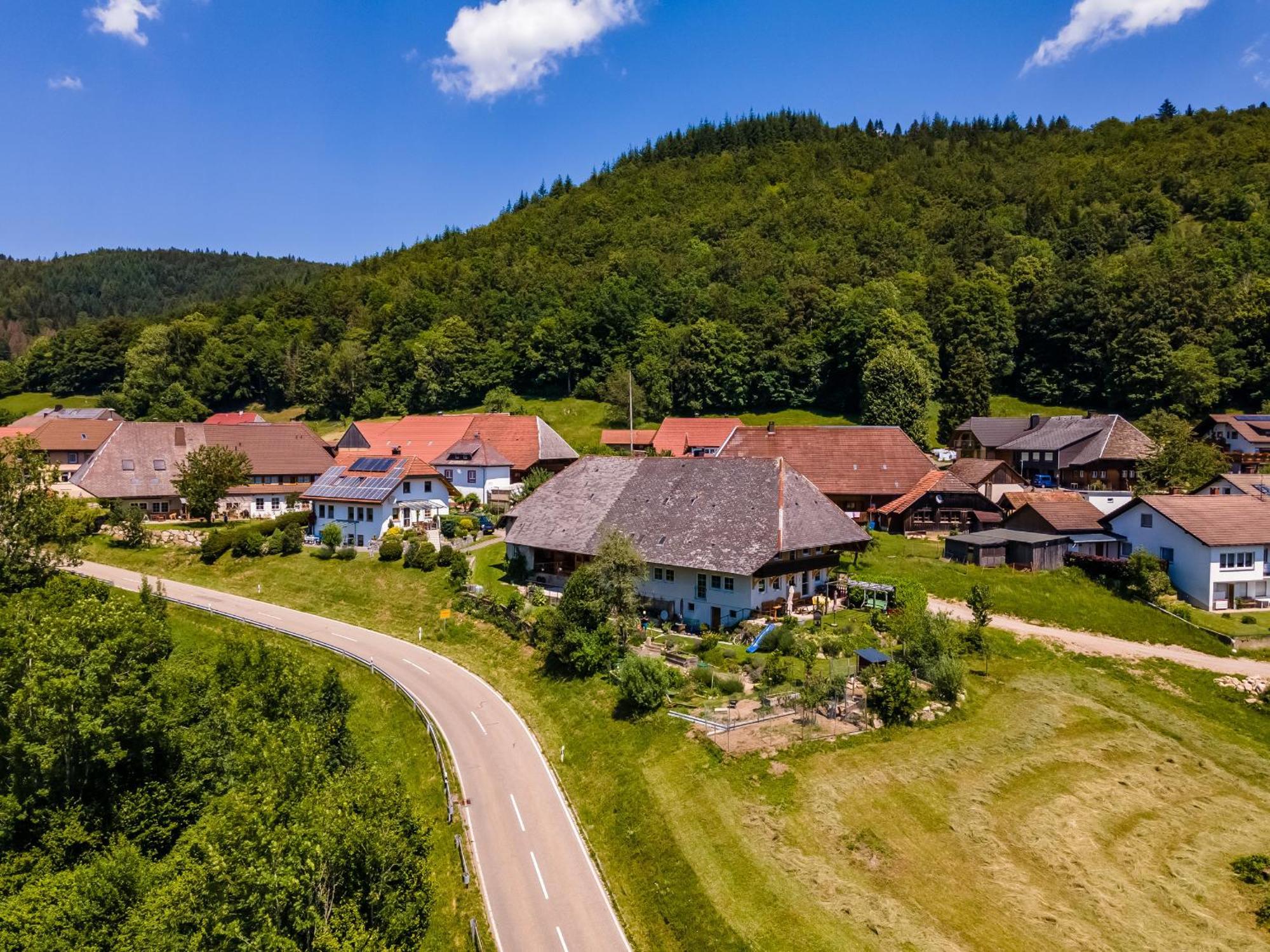 Ferienwohnung Belchenliebe Schonenberg Dış mekan fotoğraf