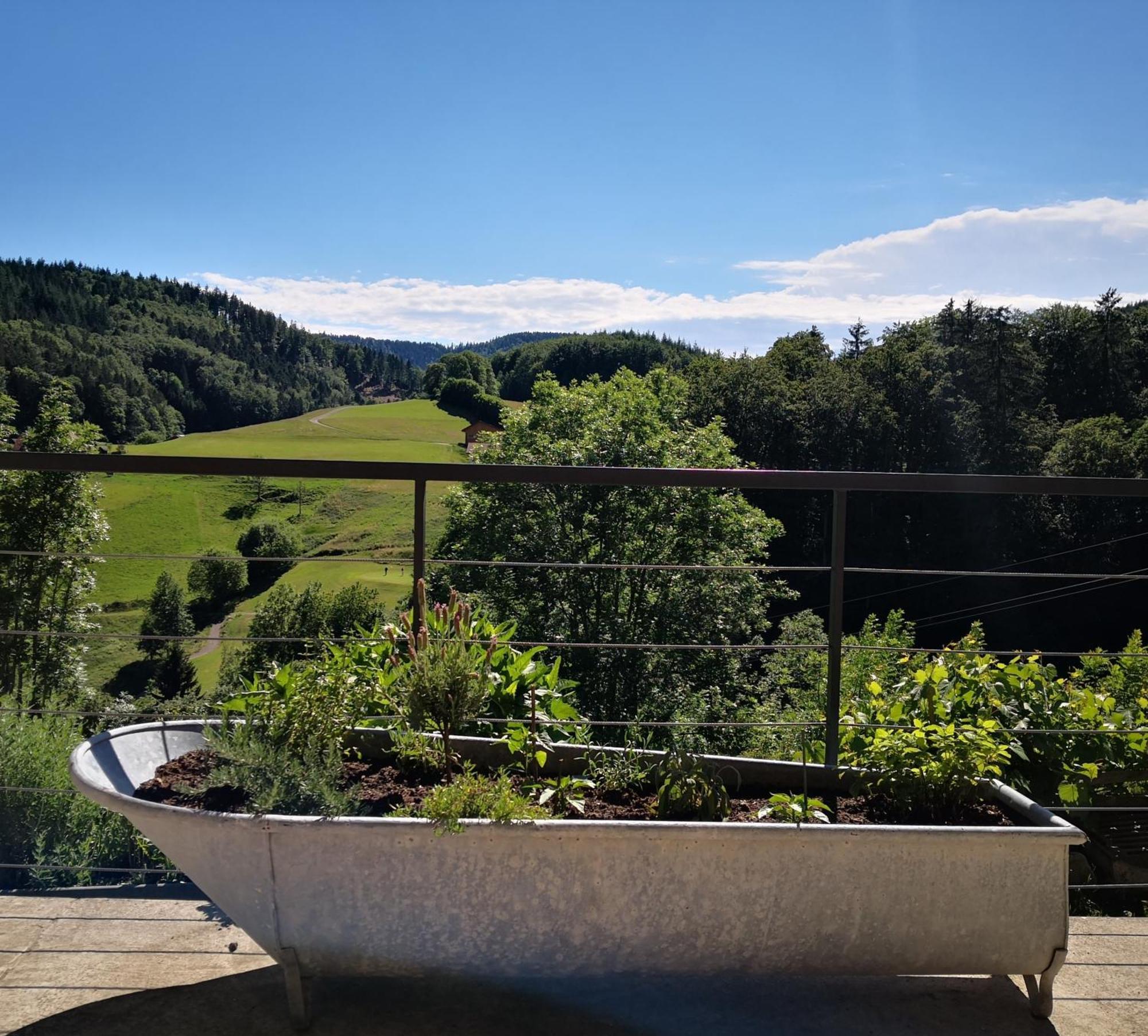 Ferienwohnung Belchenliebe Schonenberg Dış mekan fotoğraf